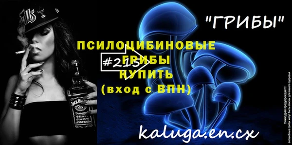 твердый Кинешма