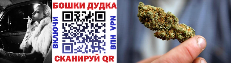Бошки Шишки сатива  Купить закладки  Бокситогорск 